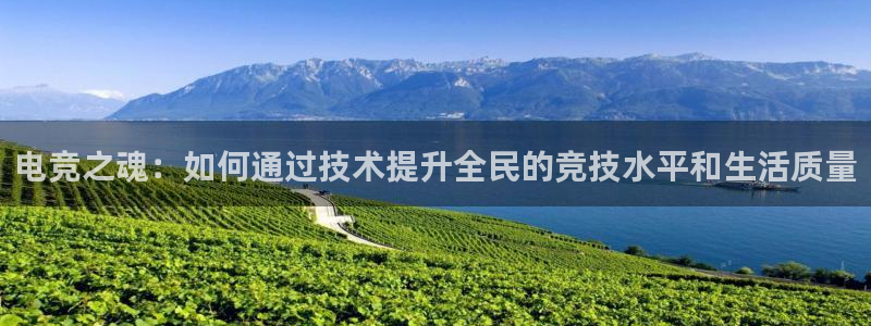 威客电竞官网登录入口：电竞之魂：如何通过技术提升全民的竞技水平和生活质量