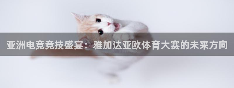 威客电竞 optic：亚洲电竞竞技盛宴：雅加达亚欧体育大赛的未来方向