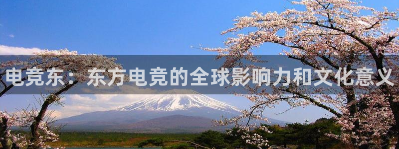 威客电竞官网登录入口：电竞东：东方电竞的全球影响力和文化意义