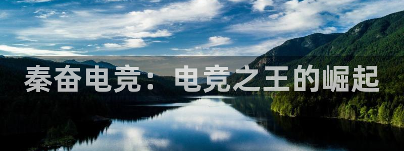 威客电竞测速：秦奋电竞：电竞之王的崛起