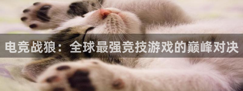 vkgame威客电竞：电竞战狼：全球最强竞技游戏的巅峰对决