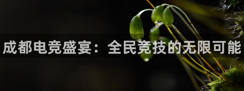 威客电竞vkgame官网：成都电竞盛宴：全民竞技的无限可能
