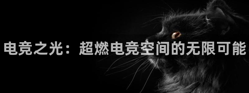 威客电竞官网下载：电竞之光：超燃电竞空间的无限可能