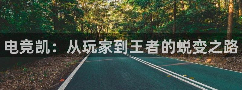 威客电竞集团：电竞凯：从玩家到王者的蜕变之路