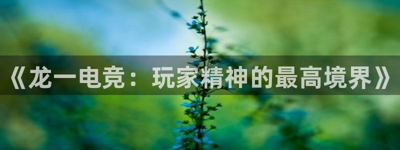威客电竞·(中国)VKGAMING：《龙一电竞：玩家精神的最高境界》