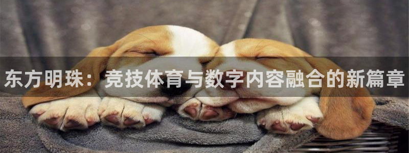 威客电竞客服：东方明珠：竞技体育与数字内容融合的新篇章
