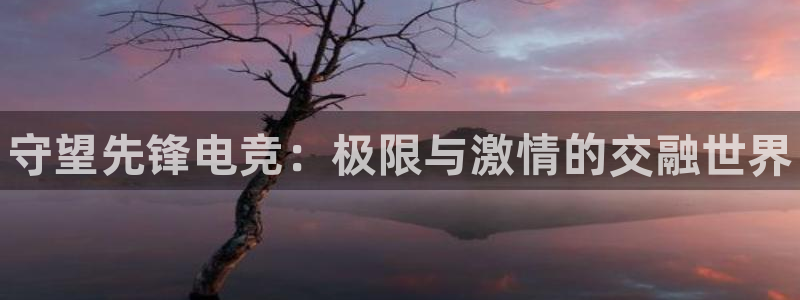 威客电竞酒店：守望先锋电竞：极限与激情的交融世界