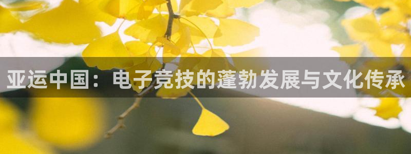 vkgame 威客电竞：亚运中国：电子竞技的蓬勃发展与文化传承