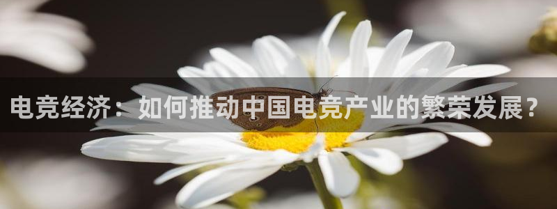 威客电竞官网下载：电竞经济：如何推动中国电竞产业的繁荣发展？