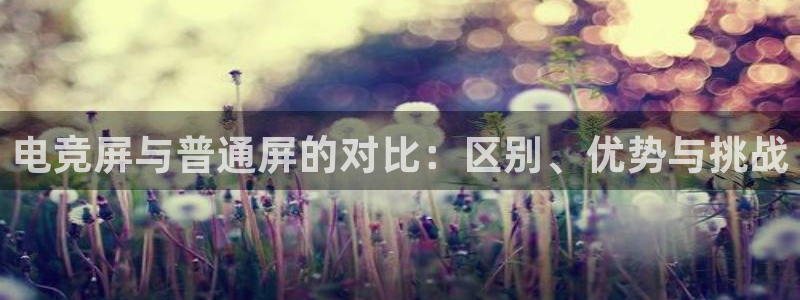 vkgame 威客电竞：电竞屏与普通屏的对比：区别、优势与挑战