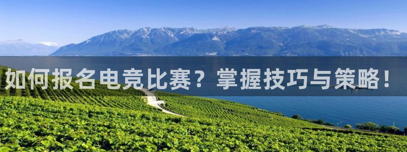 威客电竞客服：如何报名电竞比赛？掌握技巧与策略！
