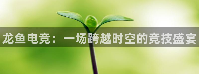 vkgame威客电竞官网：龙鱼电竞：一场跨越时空的竞技盛宴