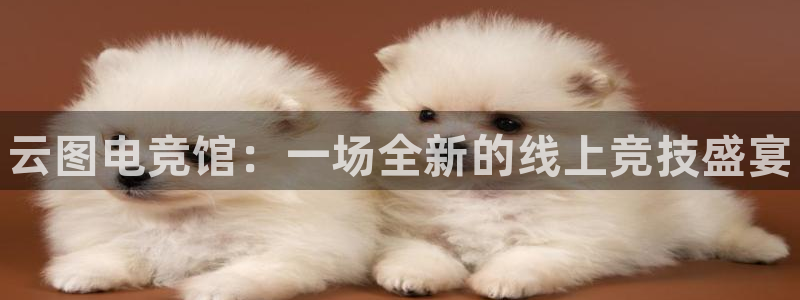威客电竞：云图电竞馆：一场全新的线上竞技盛宴