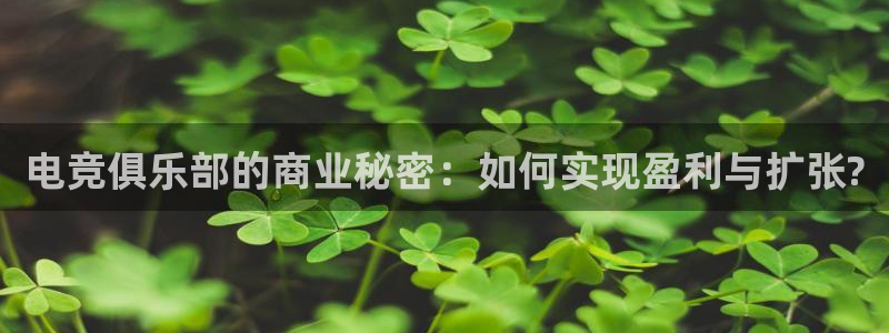 威客电竞官网：电竞俱乐部的商业秘密：如何实现盈利与扩张?