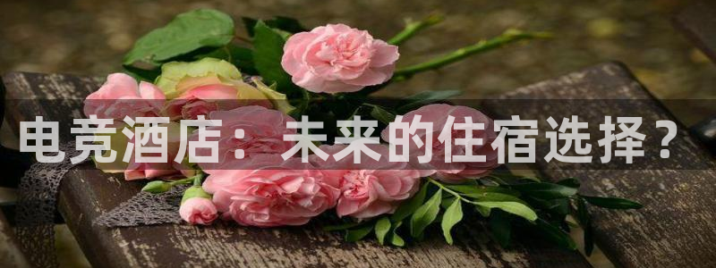威客电竞酒店：电竞酒店：未来的住宿选择？