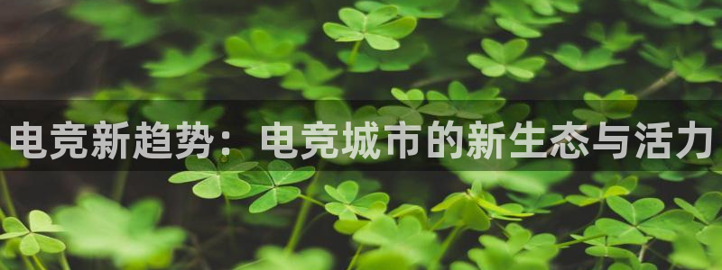 vkgame威客电竞官网：电竞新趋势：电竞城市的新生态与活力
