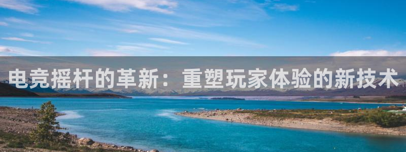 威客电竞·(中国)VKGAMING：电竞摇杆的革新：重塑玩家体验的新技术